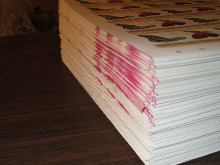 Stack of One Value of Progressive Color Proofs Produced by the Format International Security Printers