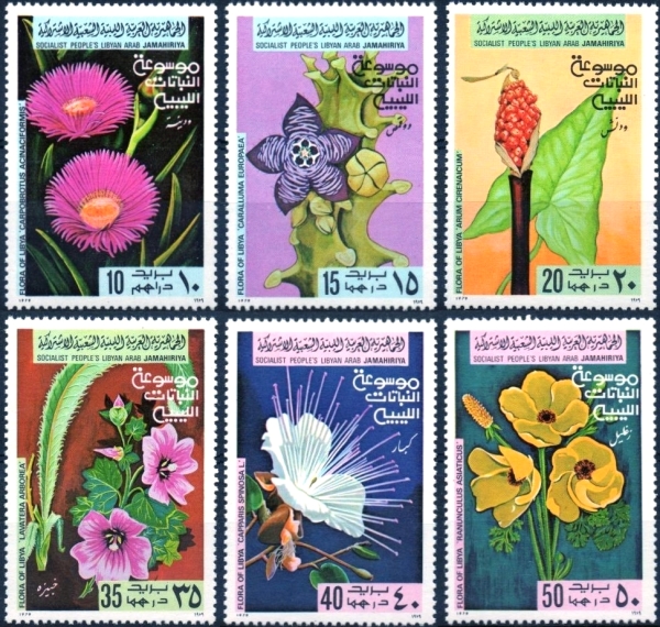 Libya 1979 Flora of Libya Stamps