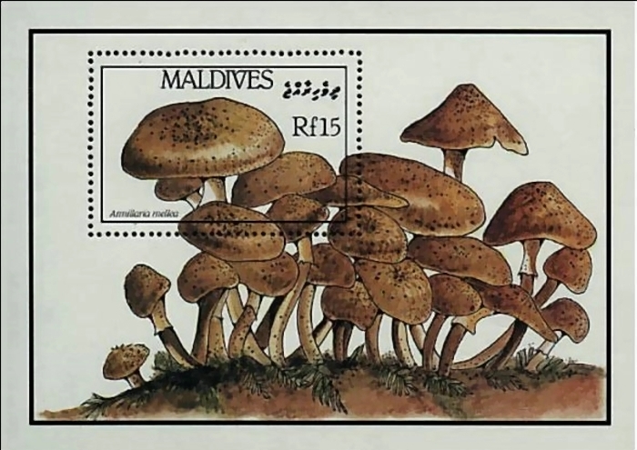 1986 Fungi of the Maldives 'Armillaria mellea' Souvenir Sheet