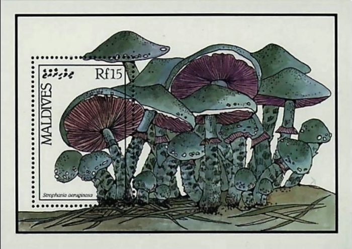 1986 Fungi of the Maldives 'Stropharia aeruginosa' Souvenir Sheet