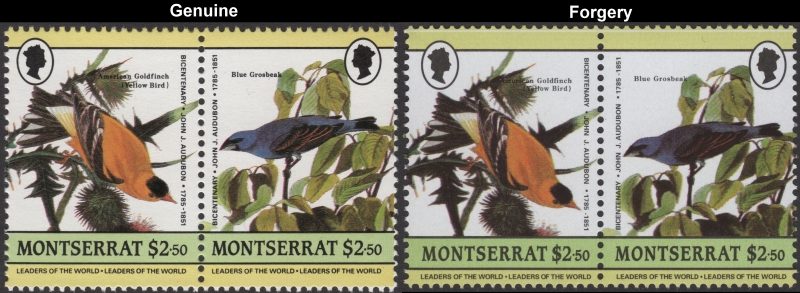 Montserrat 1985 Audubon Birds Forgeries with Genuine $2.50 Stamp Comparison