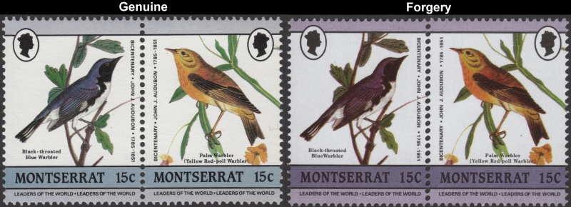 Montserrat 1985 Audubon Birds Forgeries with Genuine 15c Stamp Comparison