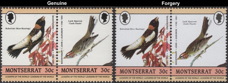Montserrat 1985 Audubon Birds Forgeries with Genuine 30c Stamp Comparison