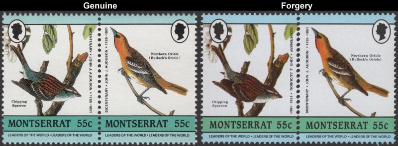 Montserrat 1985 Audubon Birds Forgeries with Genuine 55c Stamp Comparison