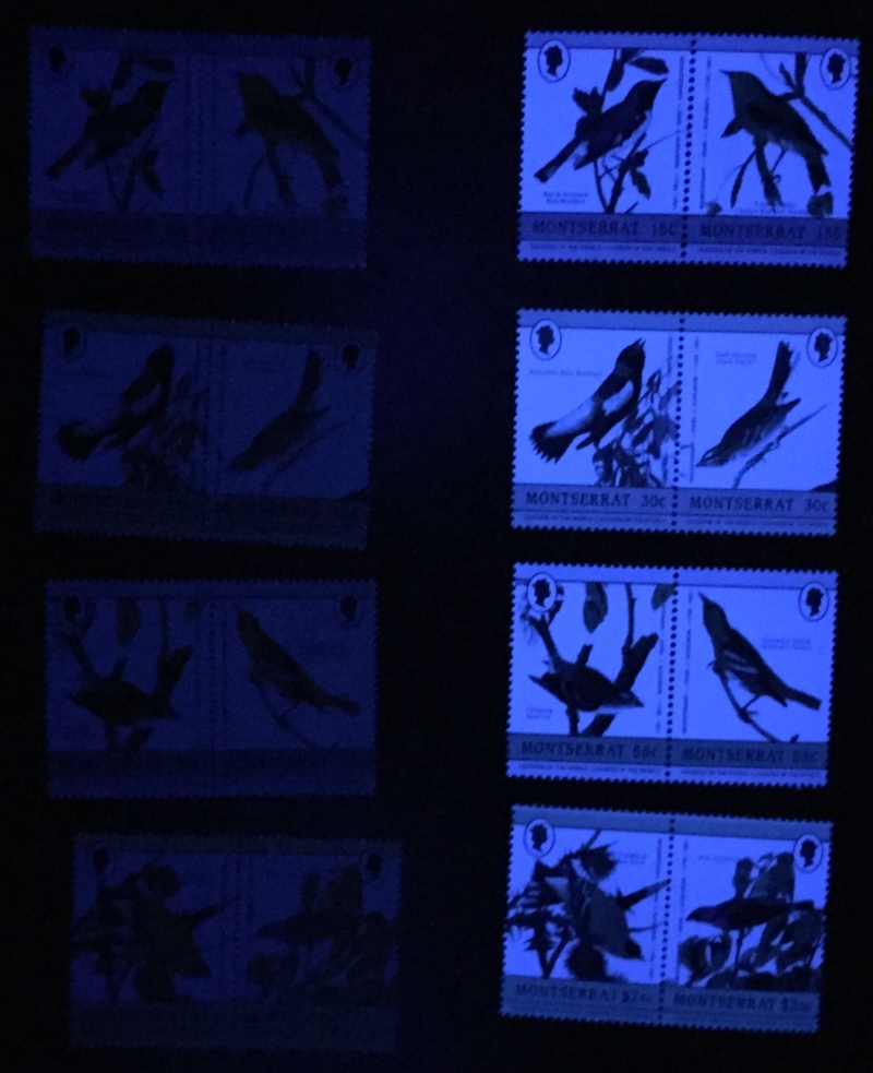 Montserrat 1985 Leaders of the World Audubon Birds Comparison of Forgeries with Genuine Stamps Under Ultra-violet Light