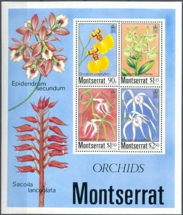 1985 Orchids of Montserrat Souvenir Sheet