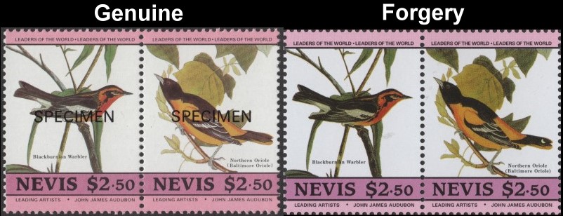 Nevis 1985 Audubon Birds Forgeries with Original $2.50 Stamp Comparison