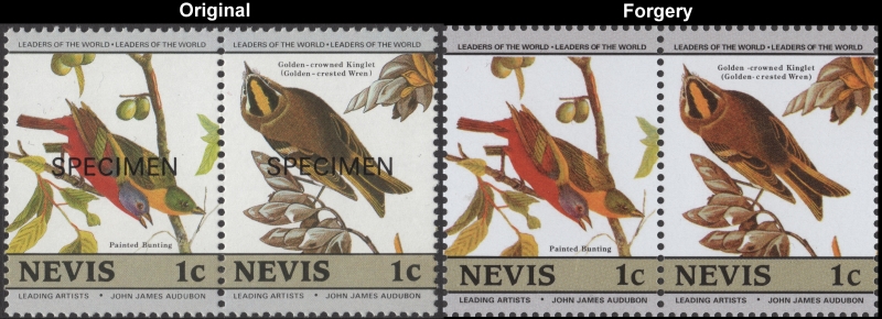 Nevis 1985 Audubon Birds Forgeries with Original 1c Stamp Comparison