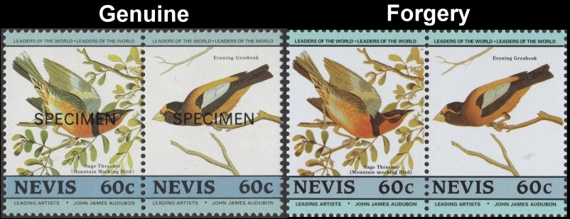 Nevis 1985 Audubon Birds Forgeries with Original 2nd Issue 60c Stamp Comparison