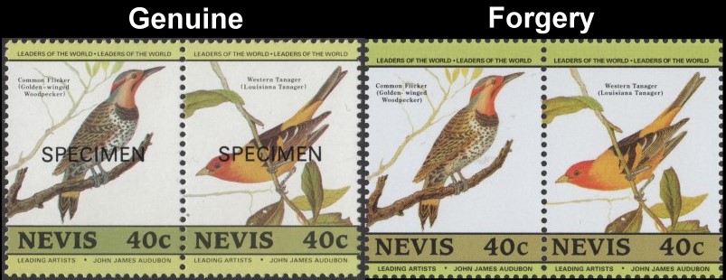 Nevis 1985 Audubon Birds Forgeries with Original 40c Stamp Comparison