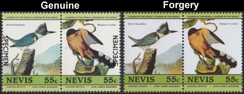 Nevis 1985 Audubon Birds Forgeries with Original 55c Stamp Comparison