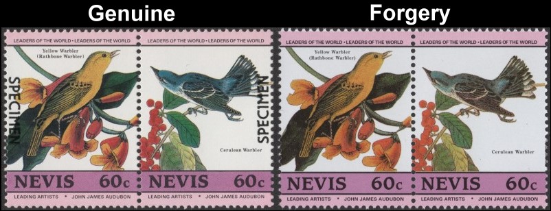 Nevis 1985 Audubon Birds Forgeries with Original 60c Stamp Comparison