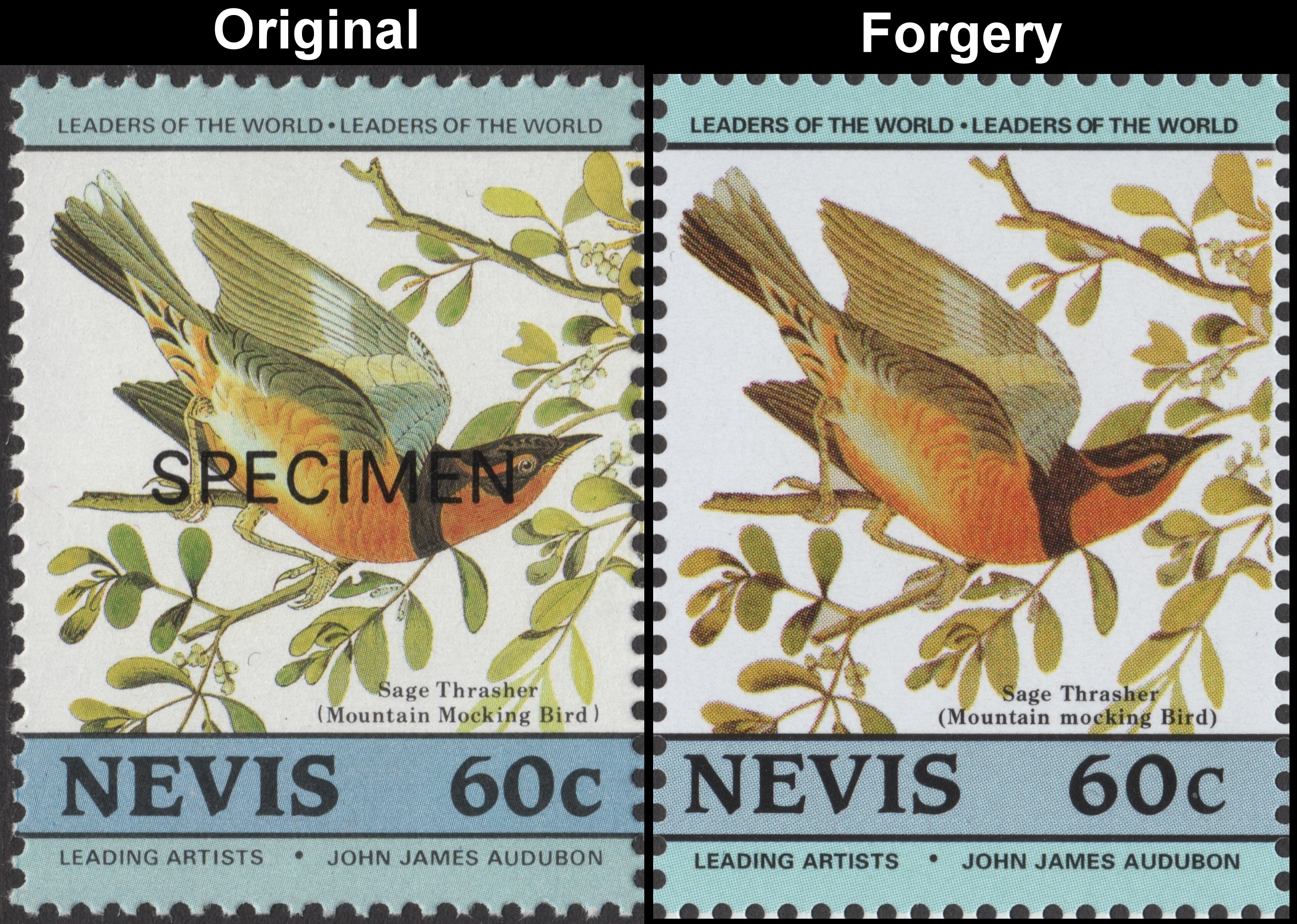 NEVIS 1985 BIRD STAMPS  LOCAL HAWKS AND HERONS IMPERF  MNH BIRDL121 