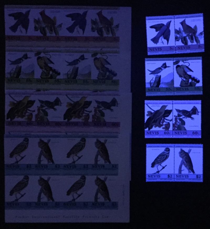 Nevis 1985 Leaders of the World Audubon Birds Comparison of the 1st Issue Forgeries with Genuine Stamps Under Ultra-violet Light