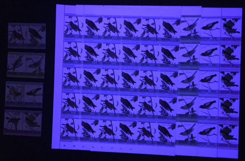 Nevis 1985 Leaders of the World Audubon Birds Comparison of the 2nd Issue Forgeries with Genuine Stamps Under Ultra-violet Light