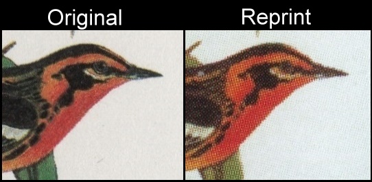 The Forged Unauthorized Reprint Nevis Birds Scott 414 Printing Comparison