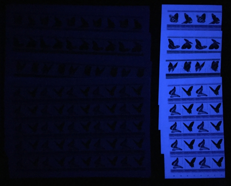 Saint Lucia 1985 Butterflies Comparison of Imperforate Stamp Forgeries with Genuine Imperforate Stamps Under Ultra-violet Light