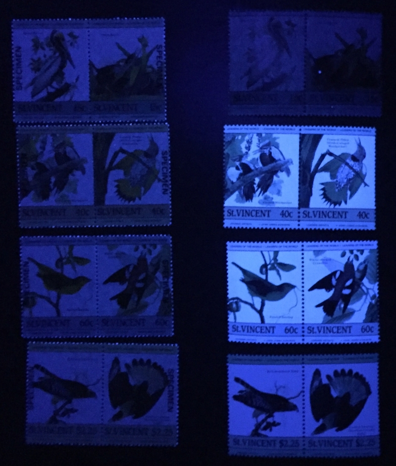 Saint Vincent 1985 Leaders of the World Audubon Birds Comparison of Perforated Forgeries with Genuine Stamps Under Ultra-violet Light