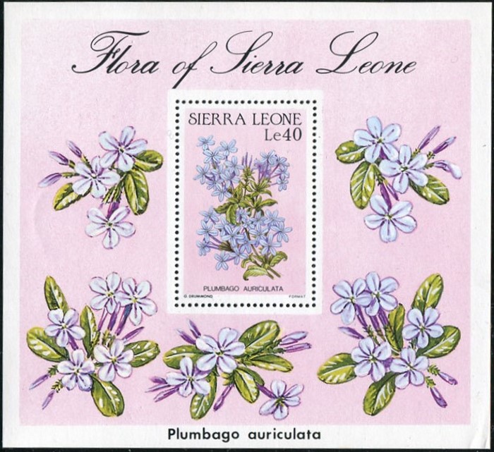 1986 Flowers of Sierra Leone (Plumbago Auriculata) Souvenir Sheet