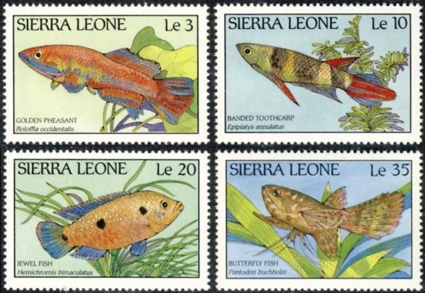 1988 Fish of Sierra Leone Stamps
