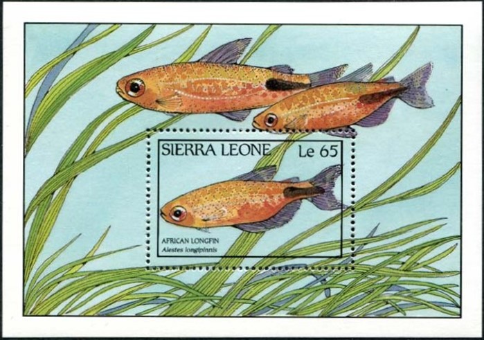 1988 Fish of Sierra Leone Souvenir Sheet
