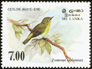 Sri Lanka 1988 Birds Stamp