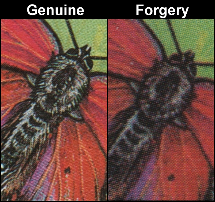 Tuvalu Vaitupu 1985 Butterflies Palaeochrysophanus hippothoe 1200dpi Screen and Color Comparison