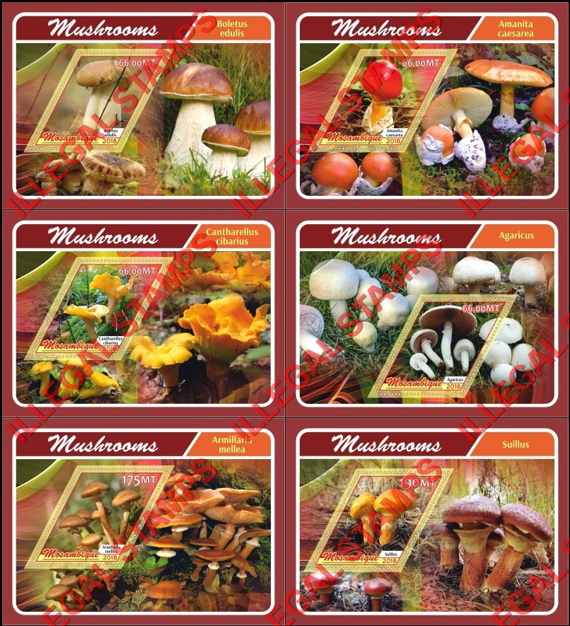 Mozambique 2018 Mushrooms (different b) Counterfeit Illegal Stamp Souvenir Sheets of 1