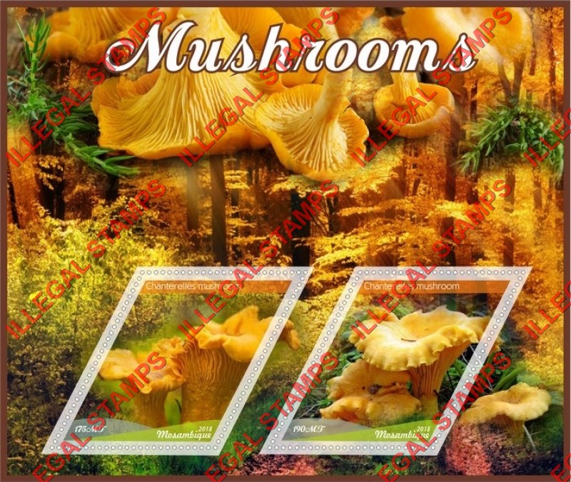  Mozambique 2018 Mushrooms Counterfeit Illegal Stamp Souvenir Sheet of 2
