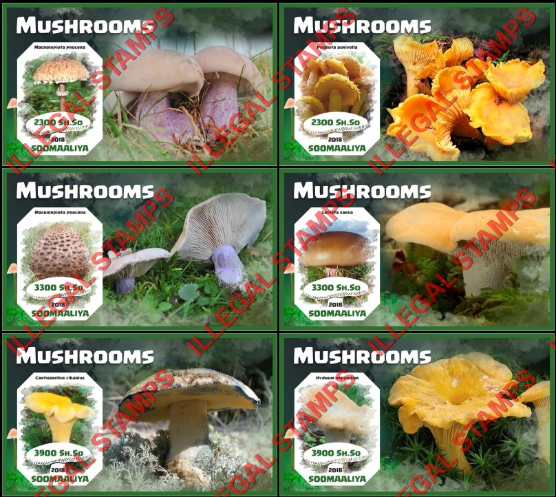 Somalia 2018 Mushrooms (different) Illegal Stamp Souvenir Sheets of 1