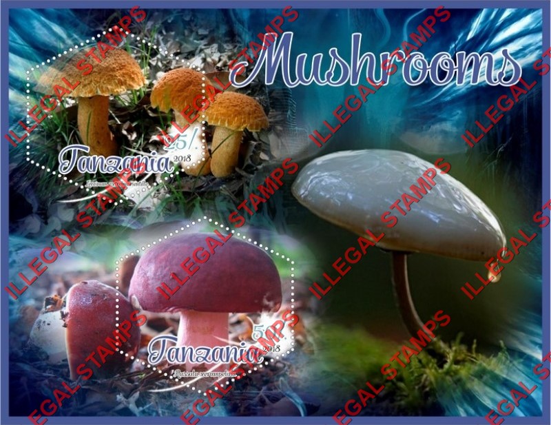 Tanzania 2018 Mushrooms Illegal Stamp Souvenir Sheet of 2 Tanzania 2018 Mushrooms Illegal Stamp Souvenir Sheet of 2